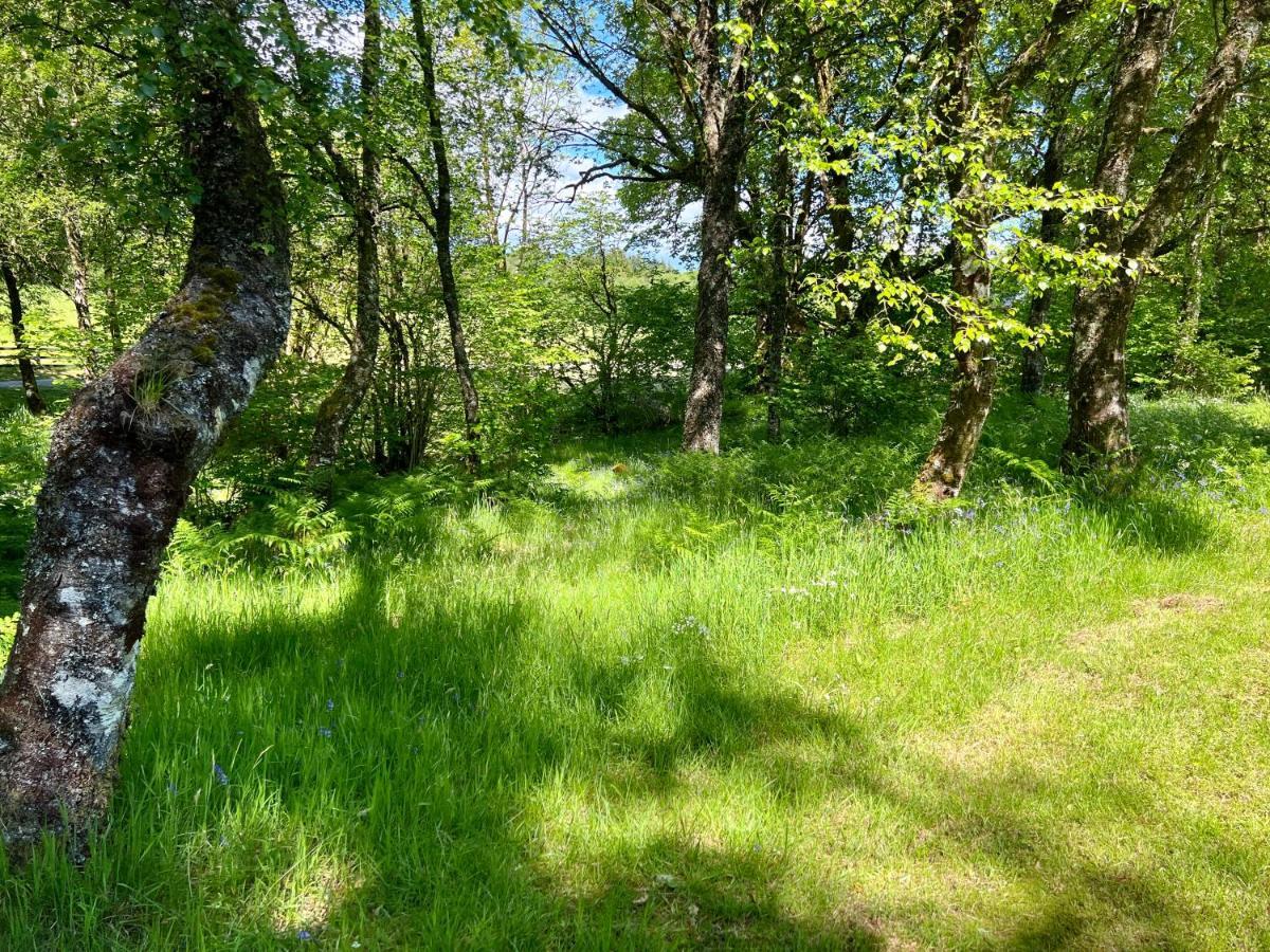 Fern Lodge Dalavich Екстер'єр фото
